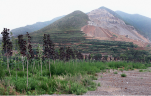 安裝除塵設備后環境