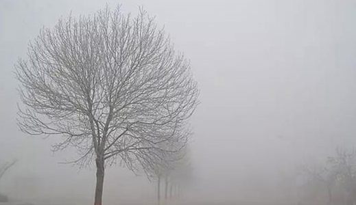 多家企業氣體排放不達標